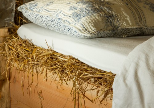 The Fascinating Evolution of Bedding: From Simple Mats to Luxurious Sheets